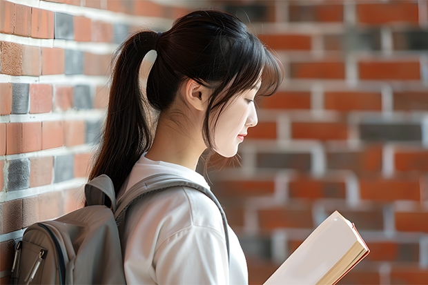 安阳工学院艺术类本科专业在甘肃省录取分数线 四川外国语大学2+2计划外国际本科分数线