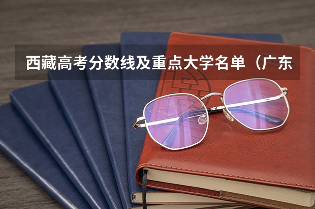 西藏高考分数线及重点大学名单（广东外语外贸大学2+2国际班录取分数线）