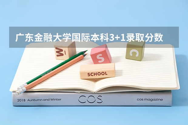 广东金融大学国际本科3+1录取分数线 河南高考总分及各科分数