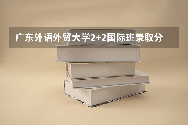 广东外语外贸大学2+2国际班录取分数线（安徽高考总分及各科分数）
