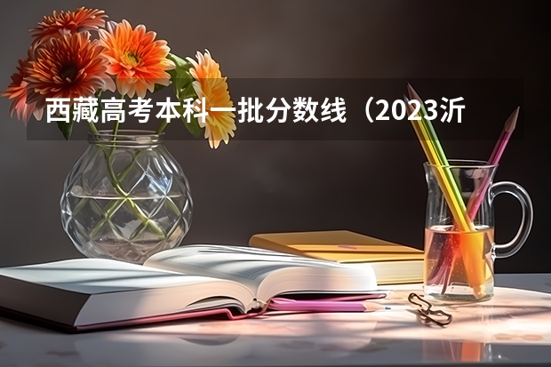 西藏高考本科一批分数线（2023沂水中考录取分数线最新公布）