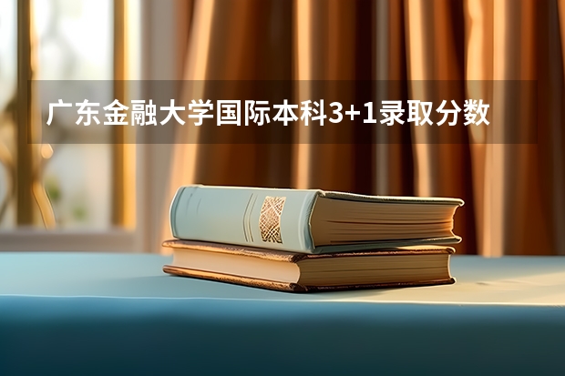广东金融大学国际本科3+1录取分数线（2023年滁州中考普高最低录取分数线）