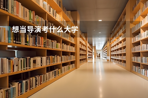 想当导演考什么大学