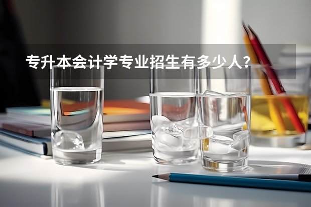 专升本会计学专业招生有多少人？