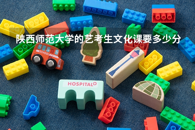 陕西师范大学的艺考生文化课要多少分才能上？