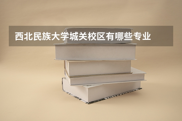 西北民族大学城关校区有哪些专业