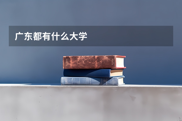 广东都有什么大学