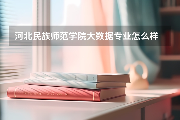 河北民族师范学院大数据专业怎么样