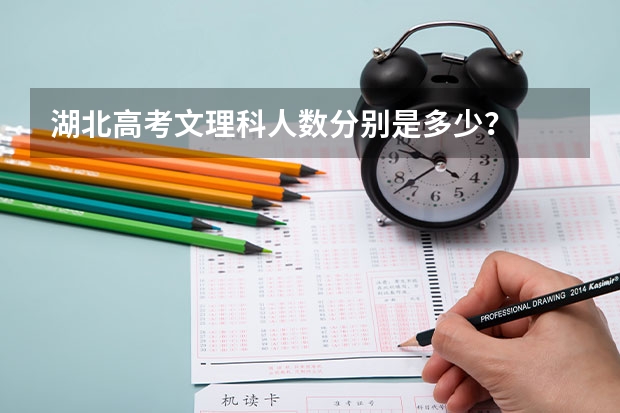 湖北高考文理科人数分别是多少？