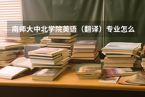 南师大中北学院英语(翻译)专业怎么样?