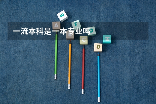 一流本科是一本专业吗