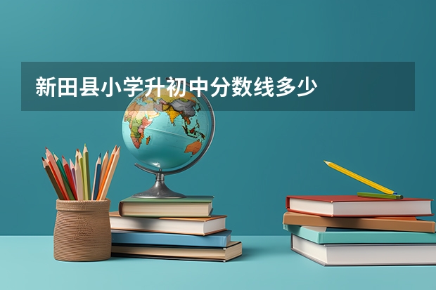 新田县小学升初中分数线多少