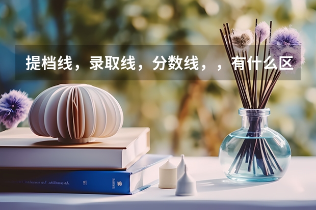 提档线，录取线，分数线，，有什么区别啊