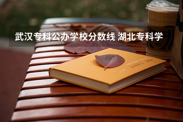 武汉专科公办学校分数线 湖北专科学校排名榜及录取分数线