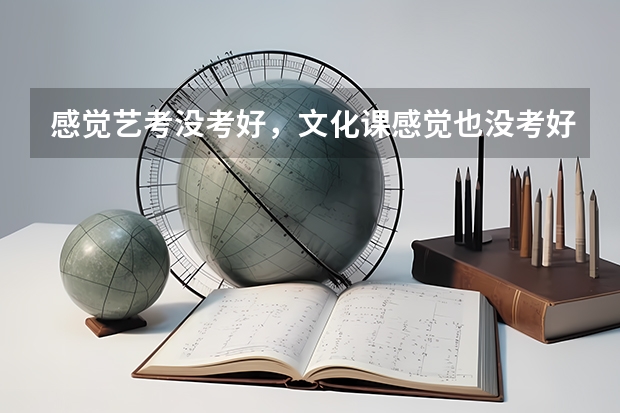 感觉艺考没考好,文化课感觉也没考好,又不想重新复读。应该怎么办呢?