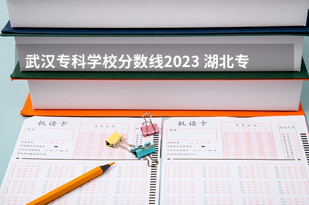 武汉专科学校分数线2023 湖北专科大学排名