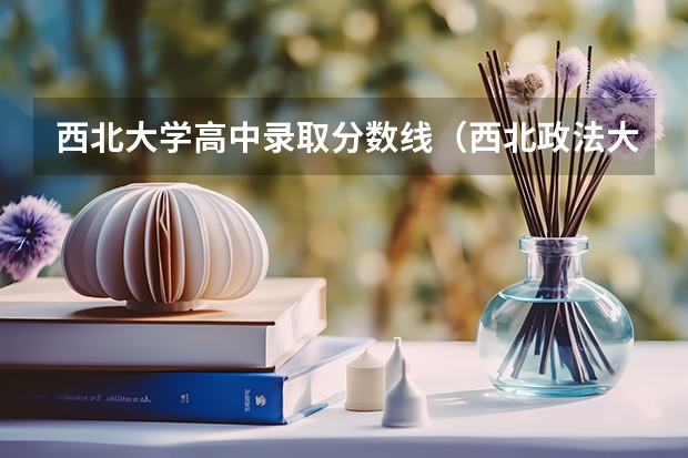 西北大学高中录取分数线（西北政法大学专科分数线）