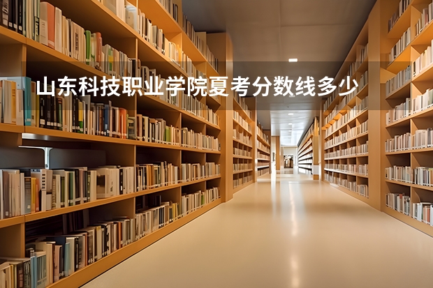 山东科技职业学院夏考分数线多少