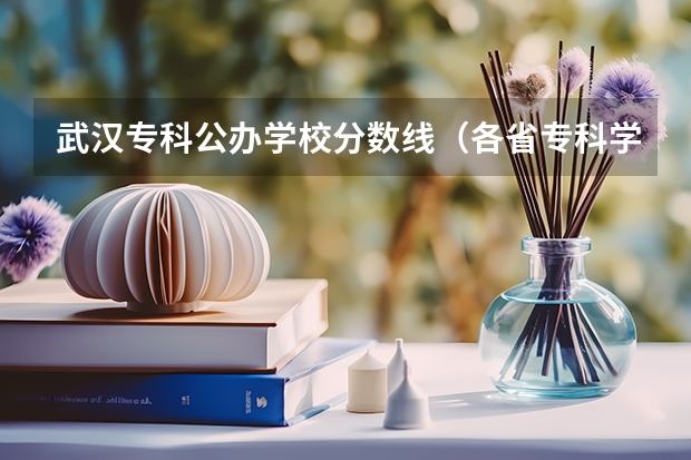 武汉专科公办学校分数线（各省专科学校排名及分数线）