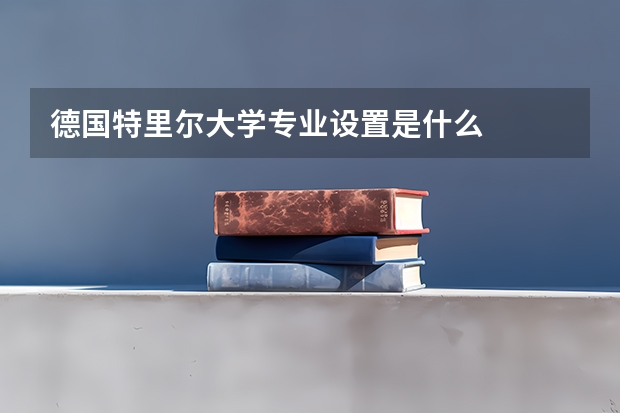 德国特里尔大学专业设置是什么