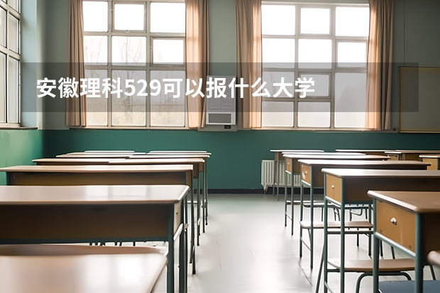 安徽理科529可以报什么大学