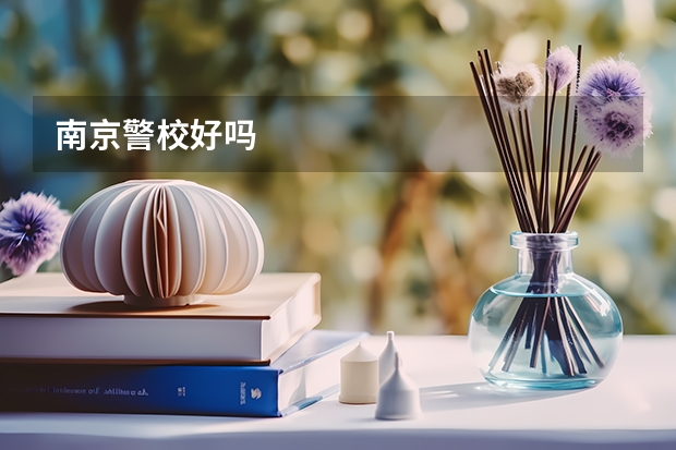 南京警校好吗