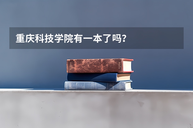 重庆科技学院有一本了吗？