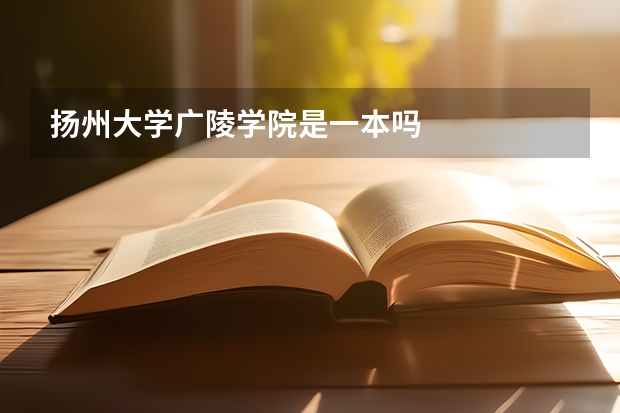 扬州大学广陵学院是一本吗