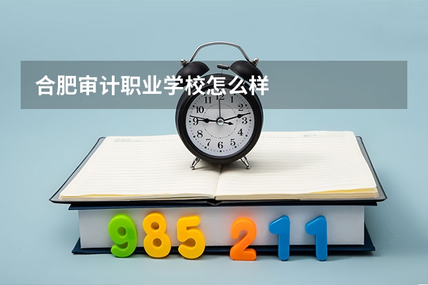 合肥审计职业学校怎么样