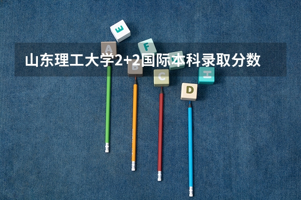 山东理工大学2+2国际本科录取分数线 各批次分数线