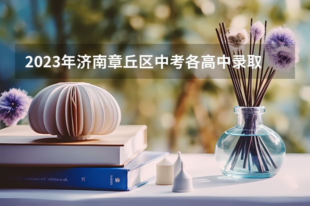2023年济南章丘区中考各高中录取分数线 附往年浙江985大学录取分数线位次