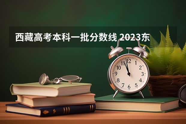 西藏高考本科一批分数线 2023东乡区中考录取分数线最新公布