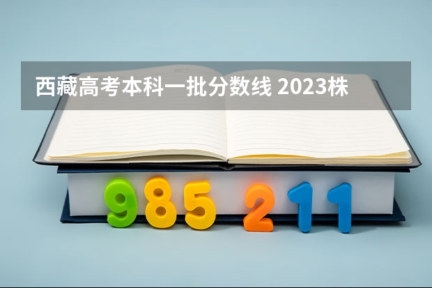 西藏高考本科一批分数线 2023株洲中考最低控制分数线公布