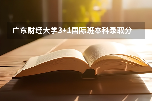 广东财经大学3+1国际班本科录取分数线 2023白银会宁中考录取分数线公布
