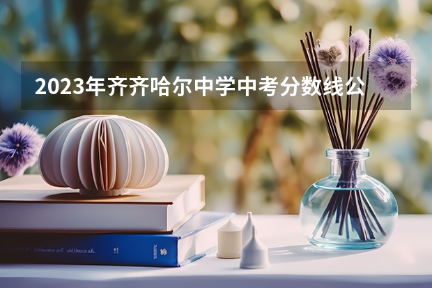 2023年齐齐哈尔中学中考分数线公布（全国各省市高考总分及各科分数）